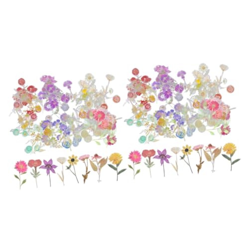 ARTIBETTER 2 Sätze Dekoaufkleber Mit Trockenblumen Transparente Pet Sticker Für Scrapbooking Tagebuch Kalender Und Diy Projekte Vielseitig Einsetzbar Für Gestaltung 6 Packungen * 2 von Artibetter
