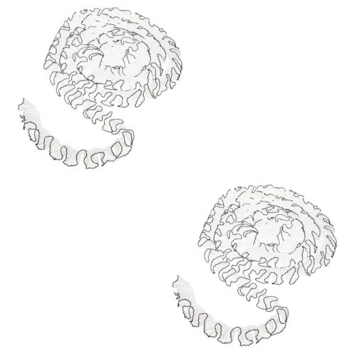 ARTIBETTER 2 Stück Vintage Spitzenband Schwarzes und Weißes Transparentes Rüschenspitzenmaterial für Diy Lange Deko Borte für Hochzeitskleider Kleidung und Bastelarbeiten von Artibetter