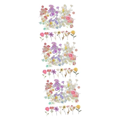 ARTIBETTER 3 Sätze Dekorative Aufkleber Getrocknete Sticker Für Scrapbooking Diy Bastelbedarf Handgemachte Dekorationen Journaling Zubehör Ästhetische Blütenmotive 6 Packungen * 3 von Artibetter