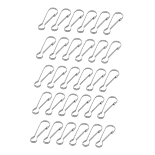 ARTIBETTER 30 Stück Edelstahlschwein Gallenblase hängende Schnappschnalle schlüsselanhänger karabinerhaken Federclips Lanyard Snap Abzeichen Key Ringhaken Rostfreier Stahl Silber von Artibetter