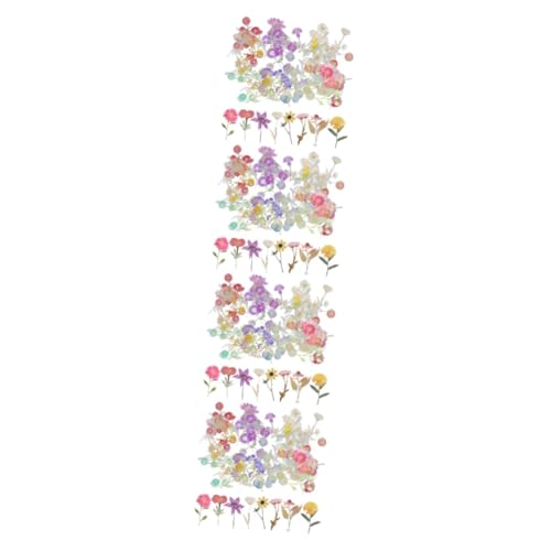 ARTIBETTER 4 Sätze Dekorative Handwerksaufkleber Getrockneten Rosé Für Scrapbooking Diy Projekte Und Geschenkdosen 6 Packungen * 4 ARTIBETTER 4 Sätze Dekorative Handwerksaufkleber Getrockneten Rosé Für Scrapbooking Diy Projekte Und Geschenkdosen 6 Packungen * 4 von Artibetter
