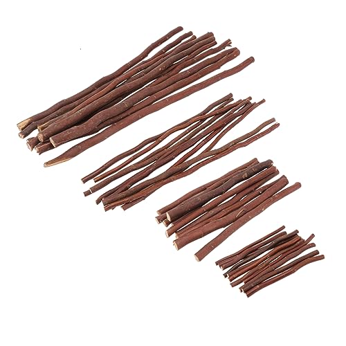 ARTIBETTER 40Stücke DIY Holzstäbe Natürliche Zweige für Bastelprojekte Dekorative Äste für Vasen und Kunsthandwerk und DIY Fans ARTIBETTER 40Stücke DIY Holzstäbe Natürliche Zweige für Bastelprojekte Dekorative Äste für Vasen und Kunsthandwerk und DIY Fans von Artibetter