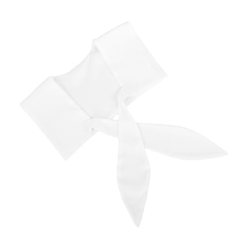 ARTIBETTER Gefälschte Kragen Abtrennbare Halbhemden Bluse Abnehmbares Kragen Bluse Top False Hemdkragen Dickey Kragen Abnehmbare Kragen Für Mädchen Weiß von Artibetter
