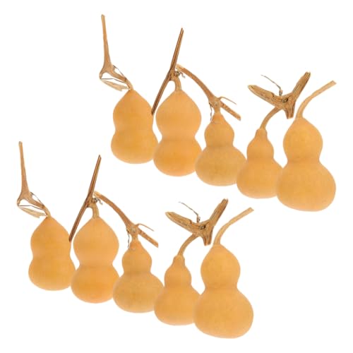 Artibetter 10 Stück Teiliges Natürliche Mini Kürbis Ornamente Leichte Dekorative Kalebassen Zufälliger Stil Glückssymbol für Zuhause Büro Geschäft Traditionelle Chinesische Dekoration von Artibetter