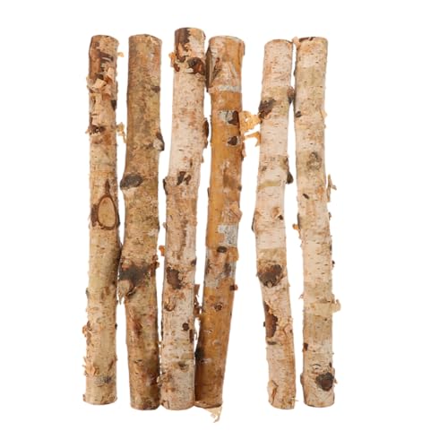 Artibetter 6 Stück Birkenstäbe Zweige Stäbe Zum Basteln Äste Getrocknete Holzstäbe Holzstäbe Zum Basteln Naturholz Bastelstäbe Bastelstäbe Zweige Holzstäbe Holzstäbchen Zum Basteln Artibetter 6 Stück Birkenstäbe Zweige Stäbe Zum Basteln Äste Getrocknete Holzstäbe Holzstäbe Zum Basteln Naturholz Bastelstäbe Bastelstäbe Zweige Holzstäbe Holzstäbchen Zum Basteln von Artibetter