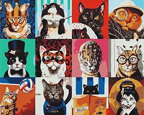 ARTNAPI Malen nach Zahlen Erwachsene mit Rahmen | DIY Handgemalt | Tiere - Collage Katzen | Kit für Anfänger und Erwachsene | Set inklusive Acrylfarben & Pinsel | 40x50cm Leinwand | Ideal als Geschenk von Artnapi