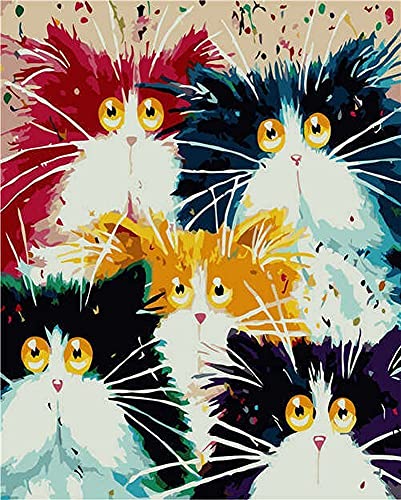 Artnapi Malen nach Zahlen Erwachsene mit Rahmen | DIY Handgemalt | Fünf farbige Katzen | Kit für Anfänger und Erwachsene | Set inklusive Acrylfarben & Pinsel | 40x50cm Leinwand | Ideal als Geschenk von Artnapi
