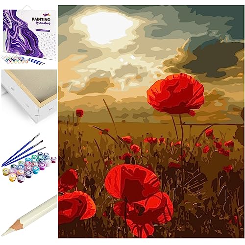 Artnapi Malen nach Zahlen Erwachsene mit Rahmen | DIY Handgemalt | Blumen - Mohnblumen | Kit für Anfänger und Erwachsene | Set inklusive Acrylfarben & Pinsel | 40x50cm Leinwand | Ideal als Geschenk von Artnapi