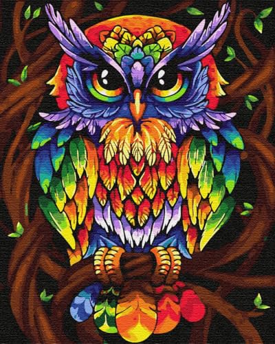 Artnapi Malen nach Zahlen Erwachsene mit Rahmen | DIY Handgemalt | Regenbogen-Eule | Kit für Anfänger und Erwachsene | Set inklusive Acrylfarben & Pinsel | 40x50cm Leinwand | Ideal als Geschenk von Artnapi