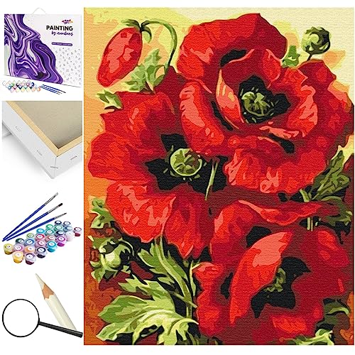 Artnapi Malen nach Zahlen Erwachsene mit Rahmen | DIY Handgemalt | Blumen - Große Rote Mohnblumen | Kit für Anfänger und Erwachsene | Set inklusive Acrylfarben & Pinsel | 40x50cm Leinwand von Artnapi