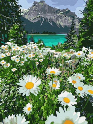 Artnapi Diamond Painting Set 5D DIY | Diamant Painting Bilder | Bergblumen Kamille Landschaft 30x40 | Diamanten Gemälde Malen nach Zahlen | Diamant Mosaik für Haus Decor Artnapi Diamond Painting Set 5D DIY | Diamant Painting Bilder | Bergblumen Kamille Landschaft 30x40 | Diamanten Gemälde Malen nach Zahlen | Diamant Mosaik für Haus Decor von Artnapi