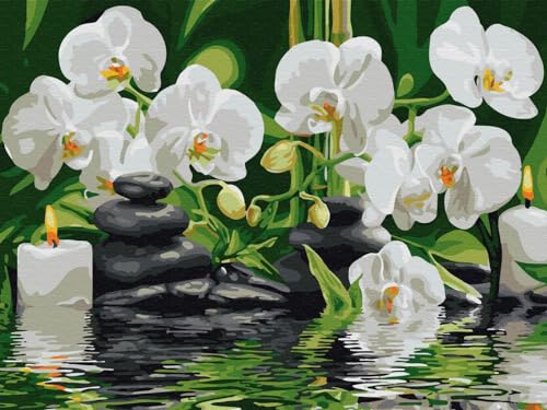 Artnapi Diamond Painting Set 5D DIY | Diamant Painting Bilder | Orchideen im Wasser 30x40 | Diamanten Gemälde Malen nach Zahlen | Diamant Mosaik für Haus Decor Artnapi Diamond Painting Set 5D DIY | Diamant Painting Bilder | Orchideen im Wasser 30x40 | Diamanten Gemälde Malen nach Zahlen | Diamant Mosaik für Haus Decor von Artnapi
