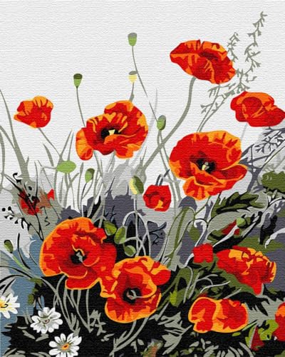 Artnapi Malen nach Zahlen Erwachsene mit Rahmen | DIY Handgemalt | Blumen - Tanzende Blumen | Kit für Anfänger und Erwachsene | Set inklusive Acrylfarben & Pinsel | 40x50cm Leinwand von Artnapi