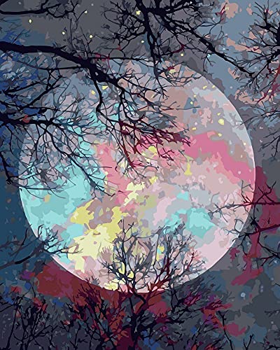 Artnapi Malen nach Zahlen Erwachsene mit Rahmen | DIY Handgemalt | Natur - Vollmond | Kit für Anfänger und Erwachsene | Set inklusive Acrylfarben & Pinsel | 40x50cm Leinwand | Ideal als Geschenk Artnapi Malen nach Zahlen Erwachsene mit Rahmen | DIY Handgemalt | Natur - Vollmond | Kit für Anfänger und Erwachsene | Set inklusive Acrylfarben & Pinsel | 40x50cm Leinwand | Ideal als Geschenk von Artnapi