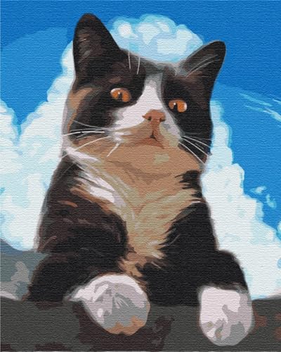 Artnapi Malen nach Zahlen Erwachsene mit Rahmen | DIY Handgemalt | Neugierige Katze | Kit für Anfänger und Erwachsene | Set inklusive Acrylfarben & Pinsel | 40x50cm Leinwand | Ideal als Geschenk von Artnapi