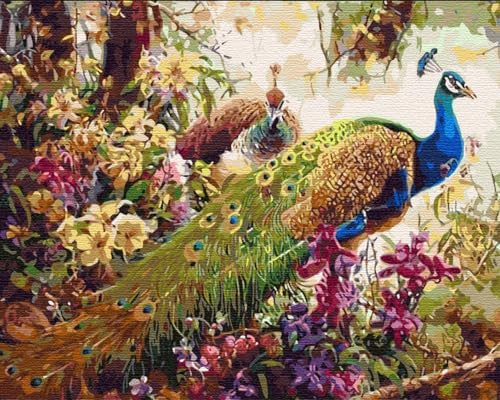 Artnapi Malen nach Zahlen Erwachsene mit Rahmen | DIY Handgemalt | Pfaue in Blumen | Kit für Anfänger und Erwachsene | Set inklusive Acrylfarben & Pinsel | 40x50cm Leinwand | Ideal als Geschenk von Artnapi