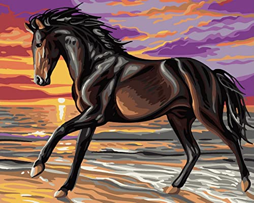 Artnapi Malen nach Zahlen Erwachsene mit Rahmen | DIY Handgemalt | Pferd im Sonnenuntergang | Kit für Anfänger und Erwachsene | Set inklusive Acrylfarben & Pinsel | 40x50cm Leinwand | Geschenke Artnapi Malen nach Zahlen Erwachsene mit Rahmen | DIY Handgemalt | Pferd im Sonnenuntergang | Kit für Anfänger und Erwachsene | Set inklusive Acrylfarben & Pinsel | 40x50cm Leinwand | Geschenke von Artnapi