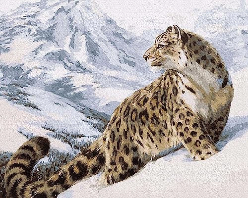 Artnapi Malen nach Zahlen Erwachsene mit Rahmen | DIY Handgemalt | Schneeleopard Irbis | Kit für Anfänger und Erwachsene | Set inklusive Acrylfarben & Pinsel | 40x50cm Leinwand | Ideal als Geschenk Artnapi Malen nach Zahlen Erwachsene mit Rahmen | DIY Handgemalt | Schneeleopard Irbis | Kit für Anfänger und Erwachsene | Set inklusive Acrylfarben & Pinsel | 40x50cm Leinwand | Ideal als Geschenk von Artnapi