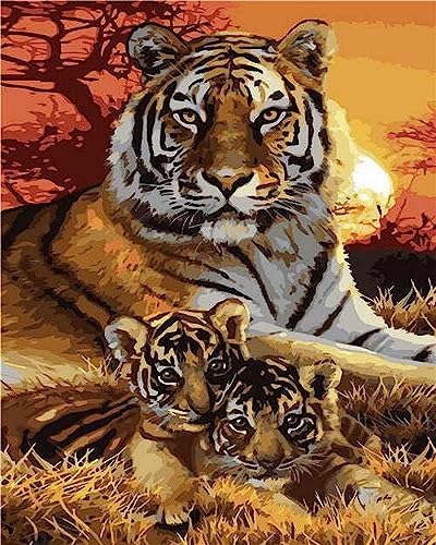 Artnapi Malen nach Zahlen Erwachsene mit Rahmen | DIY Handgemalt | Tiere - Familie Tiger | Kit für Anfänger und Erwachsene | Set inklusive Acrylfarben & Pinsel | 40x50cm Leinwand | Ideal als Geschenk von Artnapi