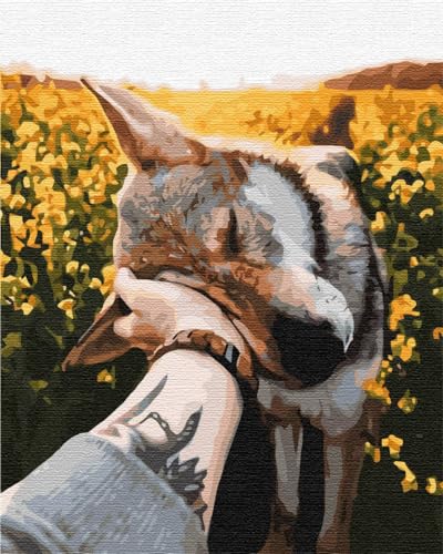 Artnapi Malen nach Zahlen Erwachsene mit Rahmen | DIY Handgemalt | Tiere - Freund Wolf | Kit für Anfänger und Erwachsene | Set inklusive Acrylfarben & Pinsel | 40x50cm Leinwand | Ideal als Geschenk Artnapi Malen nach Zahlen Erwachsene mit Rahmen | DIY Handgemalt | Tiere - Freund Wolf | Kit für Anfänger und Erwachsene | Set inklusive Acrylfarben & Pinsel | 40x50cm Leinwand | Ideal als Geschenk von Artnapi