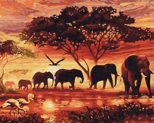 Artnapi Malen nach Zahlen Erwachsene mit Rahmen | DIY Handgemalt | Tiere - Geist Afrika | Kit für Anfänger und Erwachsene | Set inklusive Acrylfarben & Pinsel | 40x50cm Leinwand | Ideal als Geschenk Artnapi Malen nach Zahlen Erwachsene mit Rahmen | DIY Handgemalt | Tiere - Geist Afrika | Kit für Anfänger und Erwachsene | Set inklusive Acrylfarben & Pinsel | 40x50cm Leinwand | Ideal als Geschenk von Artnapi