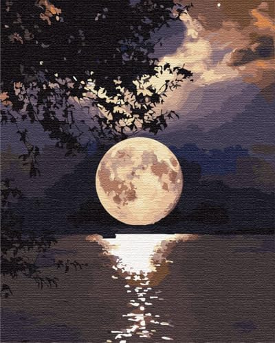 Artnapi Malen nach Zahlen Erwachsene ohne Rahmen | DIY Handgemalt | Mond über Wasser | Kit für Anfänger und Erwachsene | Set inklusive Acrylfarben & Pinsel | 40x50cm Leinwand | Ideal als Geschenk Artnapi Malen nach Zahlen Erwachsene ohne Rahmen | DIY Handgemalt | Mond über Wasser | Kit für Anfänger und Erwachsene | Set inklusive Acrylfarben & Pinsel | 40x50cm Leinwand | Ideal als Geschenk von Artnapi