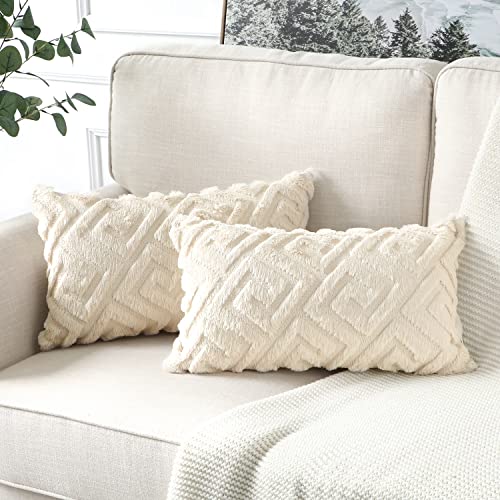 Artscope 2er-Set Dekorativ Kurze Wolle Kissenbezug, Sanft Plüsch Samt Luxus Zierkissenbezüge Dekokissen Kissenhülle Set Kissen Fall für Sofa Auto Schlafzimmer Zuhause Dekor (Creme Beige, 30 x 50cm) von Artscope