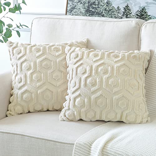 Artscope 2er-Set Sanft Plüsch Dekorativ Kissenbezüge, Kurze Wolle Samt Boho Kissenbezug Luxus Dekokissen Kissenhülle Set Kissen Fall für Sofa Auto Zuhause Schlafzimmer Dekor (Creme Beige, 60x60cm) von Artscope