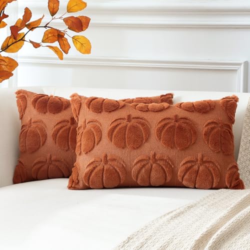 Artscope 2er Set Wolle Kürbis Kissenbezüge Weicher Plüsch Kurzer Wollsamt Dekokissenbezüge Herbst Kissenhülle Sofakissen Herbstdeko für Sofa Schlafzimmer Halloween Karamell Orange, 30x50cm Artscope 2er Set Wolle Kürbis Kissenbezüge Weicher Plüsch Kurzer Wollsamt Dekokissenbezüge Herbst Kissenhülle Sofakissen Herbstdeko für Sofa Schlafzimmer Halloween Karamell Orange, 30x50cm von Artscope