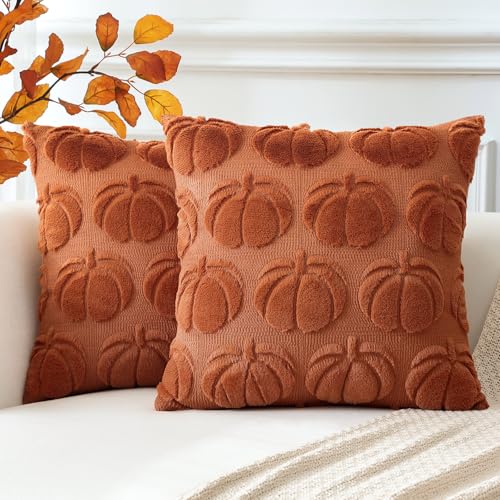 Artscope 2er Set Wolle Kürbis Kissenbezüge Weicher Plüsch Kurzer Wollsamt Dekokissenbezüge Herbst Kissenhülle Sofakissen Herbstdeko für Sofa Schlafzimmer Halloween Karamell Orange, 40x40cm Artscope 2er Set Wolle Kürbis Kissenbezüge Weicher Plüsch Kurzer Wollsamt Dekokissenbezüge Herbst Kissenhülle Sofakissen Herbstdeko für Sofa Schlafzimmer Halloween Karamell Orange, 40x40cm von Artscope