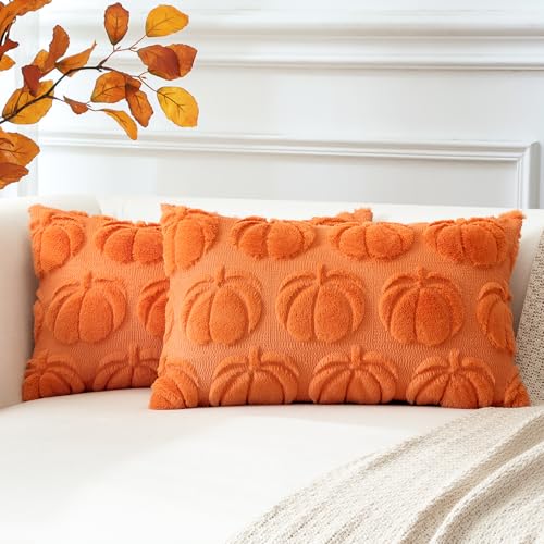 Artscope 2er Set Wolle Kürbis Kissenbezüge Weicher Plüsch Kurzer Wollsamt Dekokissenbezüge Herbst Kissenhülle Sofakissen Herbstdeko für Sofa Schlafzimmer Halloween Orange, 40x60cm Artscope 2er Set Wolle Kürbis Kissenbezüge Weicher Plüsch Kurzer Wollsamt Dekokissenbezüge Herbst Kissenhülle Sofakissen Herbstdeko für Sofa Schlafzimmer Halloween Orange, 40x60cm von Artscope
