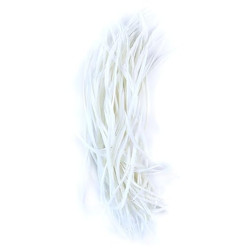Asudaro 100pcs Natürlichen Hahn Coque Schwanz 6-8inch Kostüm bunte Feder Dekoration Nähen Handwerk Diy Federn Kleidung Hut Fan Requisiten handgemachte Feder Dekoration Weiß von Asudaro