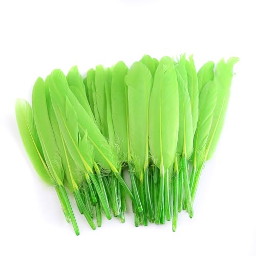 Asudaro 9cm -15cm Dekorative Bunte Federn Bunte Federn für Kunsthandwerk Ohrring Federn Assorted Hochzeiten Dekoration Federn für Kostüm-Shows, Rollenspiel Parteien, 50Pcs Grün von Asudaro