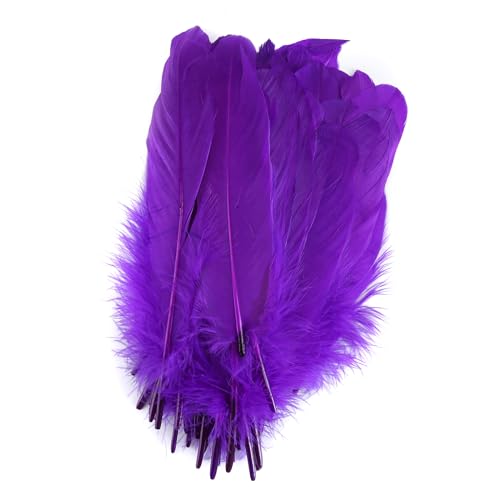 DIY Bunte Dekorative Federn,Asudaro 50 Stück Sortiert Natürliche Federn Bastelzubehör Federn Farbige Dekorative Federn für Hochzeiten, Anträge, Geburtstage, Shows,15-20CM Dunkelviolett DIY Bunte Dekorative Federn,Asudaro 50 Stück Sortiert Natürliche Federn Bastelzubehör Federn Farbige Dekorative Federn für Hochzeiten, Anträge, Geburtstage, Shows,15-20CM Dunkelviolett von Asudaro