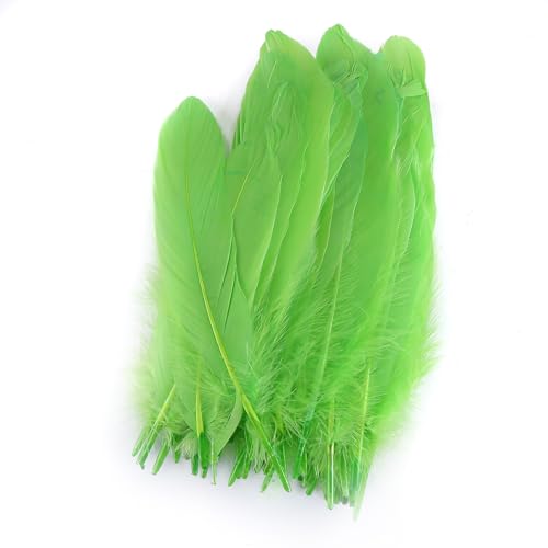 DIY Bunte Dekorative Federn,Asudaro 50 Stück Sortiert Natürliche Federn Bastelzubehör Federn Farbige Dekorative Federn für Hochzeiten, Anträge, Geburtstage, Shows,15-20CM Grün DIY Bunte Dekorative Federn,Asudaro 50 Stück Sortiert Natürliche Federn Bastelzubehör Federn Farbige Dekorative Federn für Hochzeiten, Anträge, Geburtstage, Shows,15-20CM Grün von Asudaro