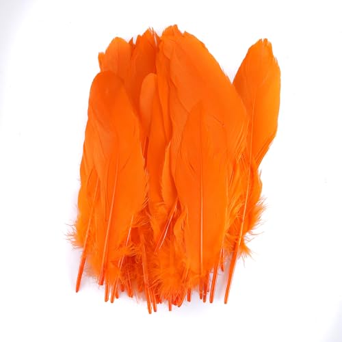 DIY Bunte Dekorative Federn,Asudaro 50 Stück Sortiert Natürliche Federn Bastelzubehör Federn Farbige Dekorative Federn für Hochzeiten, Anträge, Geburtstage, Shows,15-20CM Orange DIY Bunte Dekorative Federn,Asudaro 50 Stück Sortiert Natürliche Federn Bastelzubehör Federn Farbige Dekorative Federn für Hochzeiten, Anträge, Geburtstage, Shows,15-20CM Orange von Asudaro