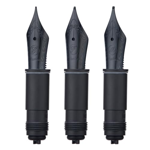 Asvine Füllfederhalter, Ersatzspitze für P36, P50, P80 und V200 Serie #6 EF/F/M, Schwarz, 3 Stück von Asvine