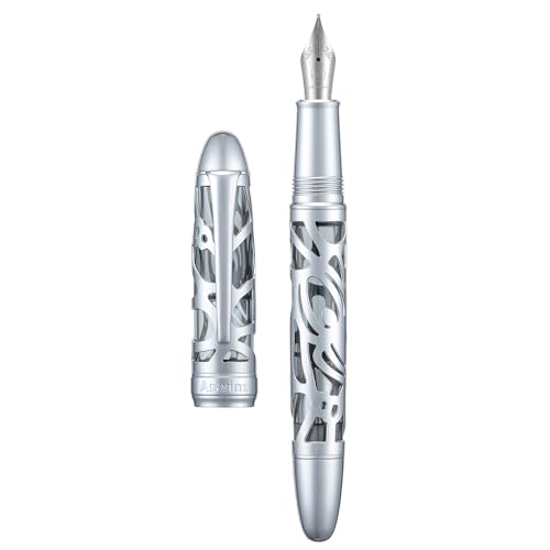 Asvine P80 Füllfederhalter mit Kolbenfüller, feine Feder, Spinnenskelett, transparentes graues Acryl-Federmäppchen und Schraubenschlüssel-Set, Transparent Gray, 1 stück (1er Pack) von Asvine