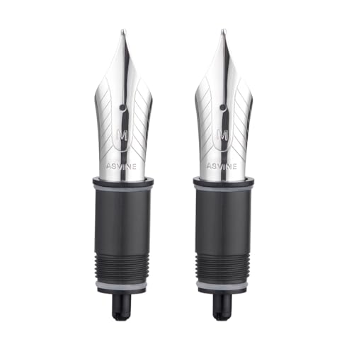 Set mit 2 Ersatz-Füllfederhaltern der Nummer 8, mittlere Federn, kompatibel mit C2000 und C80, Silber Set mit 2 Ersatz-Füllfederhaltern der Nummer 8, mittlere Federn, kompatibel mit C2000 und C80, Silber von Asvine