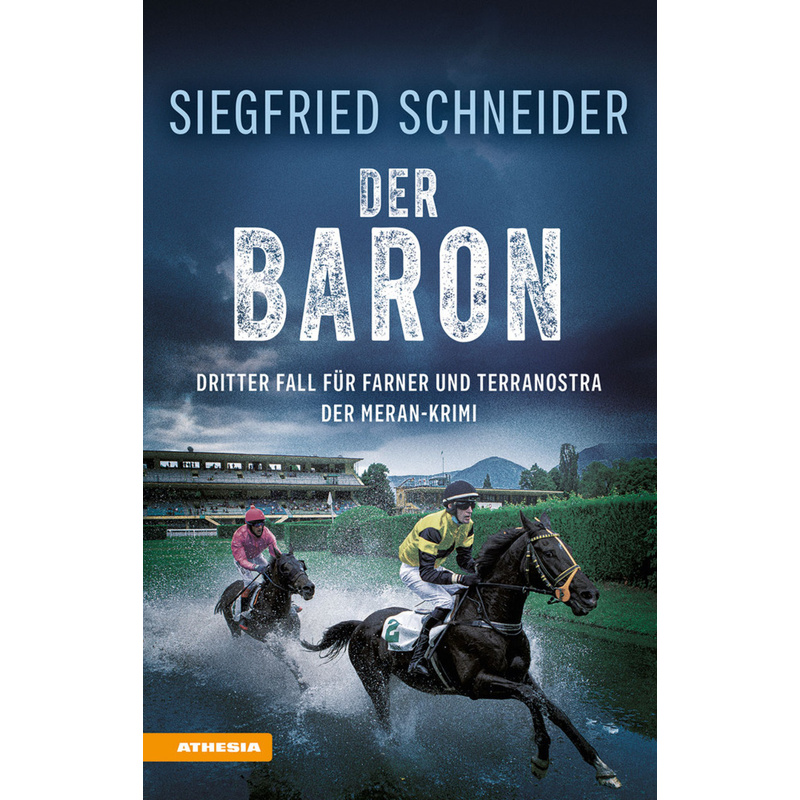 Der Baron - Siegfried Schneider, Kartoniert (TB) von Athesia Buch