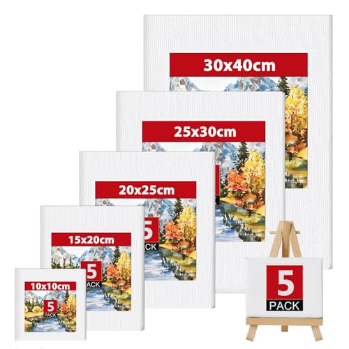 5 Stück Leinwand Set, leinwand zum bemalen, keilrahmen, leinwände für acrylfarben für Künstler, Amateure, Anfänger und Kinder für Acryl-, Aquarell-, Ölfarbe UVM (10x10,15x20,20x25,25x30,30x40 cm) von Atliberswo