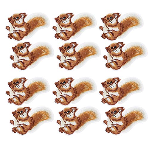 Aufbügeln Aufnäher, 12 Stück Süßes Eichhörnchen DIY Aufnähen Aufkleber Aufkleber Stoff Rucksäcke Jeans Mäntel Tasche Aufkleber Aufnäher Eichhörnchen Muster Stickerei Stoff Aufkleber von Atyhao