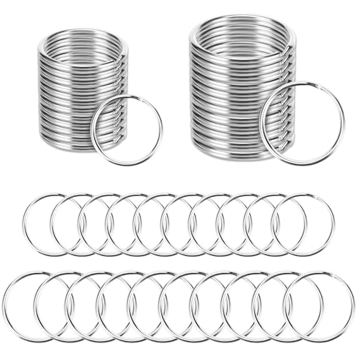 Auauraintt 200 Stück Edelstahl Schlüsselringe, 2 Größen Schlüsselring (100 Stück*25 mm,100 Stück*30 mm), Schlüsselanhänger Ring für DIY Schlüssel Ringe und Basteln, Ornamente von Auauraintt