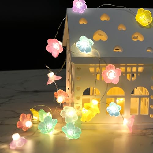Aubess Lichterkette Blumen Bunt für Mädchenzimmer, 2 Meter 20 LEDs Lichterkette Blumen, Macaron Blumen Lichterkette Innen für Gartenbäume, Wohnzimmer Dekoration, Geschenke für Frauen Mädchen von Aubess