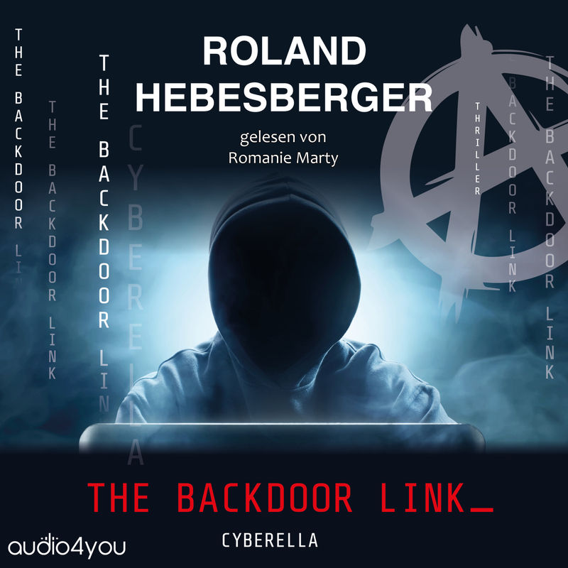 Die Spinnen Reihe - 1 - The Backdoor Link - Roland Hebesberger (Hörbuch-Download) von Audio4You
