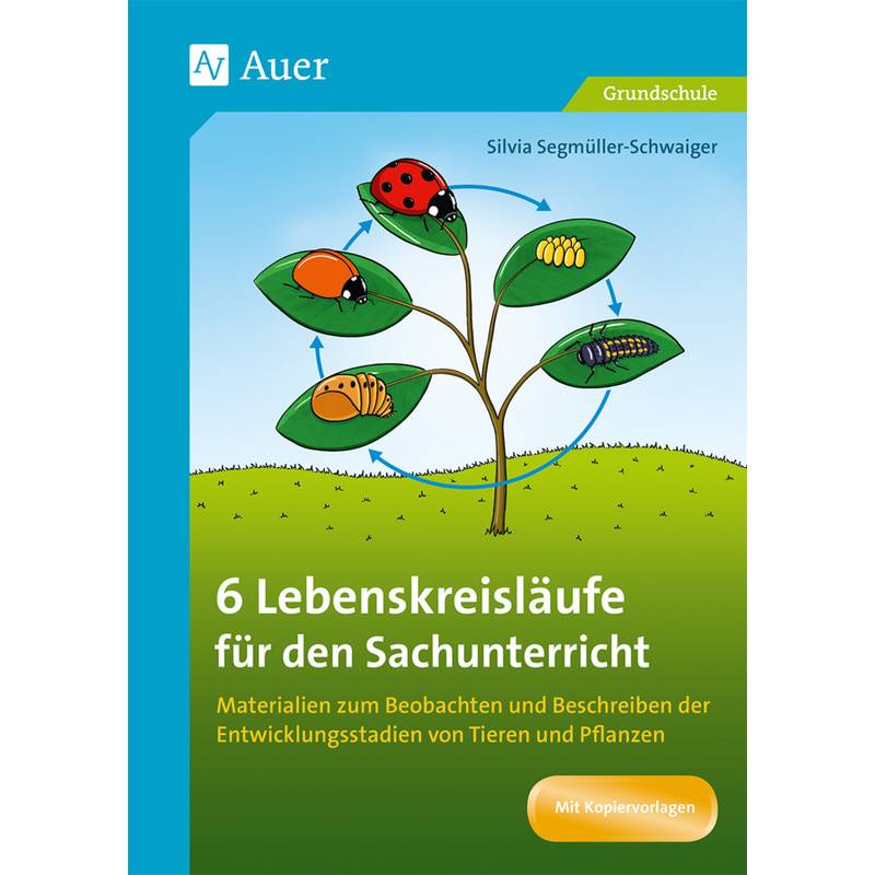 6 Lebenskreisläufe Für Den Sachunterricht - Silvia Segmüller-Schwaiger, Geheftet von Auer Verlag in der AAP Lehrerwelt GmbH