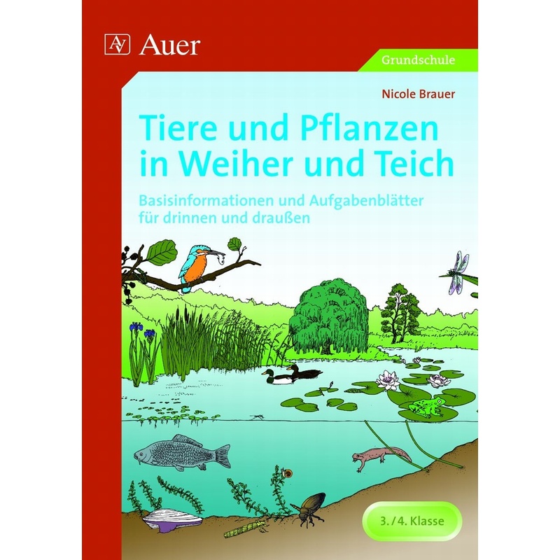 Tiere Und Pflanzen In Weiher Und Teich - Nicole Brauer, Geheftet von Auer Verlag in der AAP Lehrerwelt GmbH