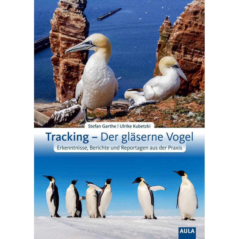 Tracking - Der Gläserne Vogel - Stefan Garthe, Ulrike Kubetzki, Kartoniert (TB) von Aula