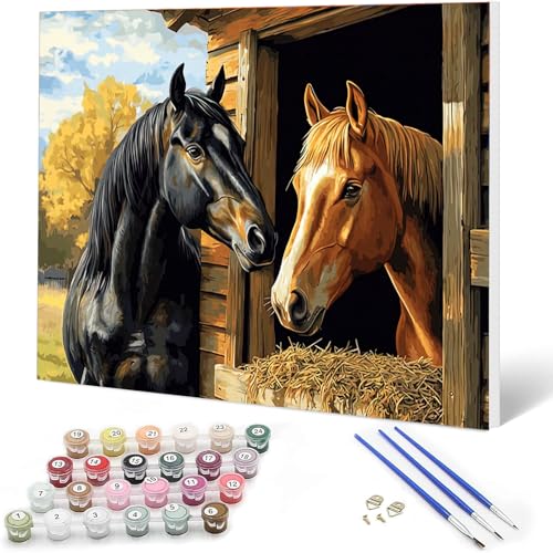 Auremi DIY Pferd Malen nach Zahlen Set für Erwachsene Kinder mit Holzrahmen,Tiere Paint by Numbers Set für Anfänger Kunstkit Mit 3 - Pinseln und Acrylfarbe Leinwand Kit Wandkunst 20x30cm von Auremi