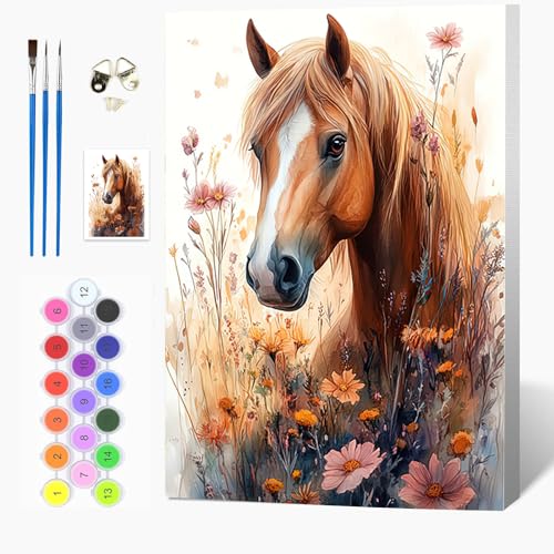Auremi Pferd Malen nach Zahlen Set für Erwachsene Kinder mit Holzrahmen,Tiere Paint by Numbers Set Mit Ölgemälde für Anfänger, Leinwand, Pinsel und Farben Wanddekoration 20x30cm von Auremi